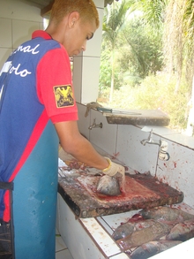 Exemplo de Limpeza