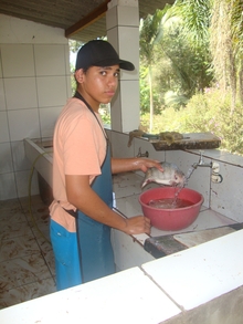 Exemplo de Limpeza